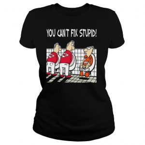 You Cant Fix Stupid Funny Kansas City Chiefs NFL shirt