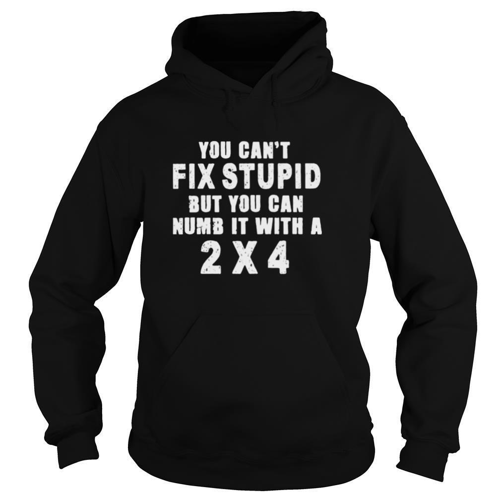 You Cant Fix Stupid But You Can Numb It With A 2×4 shirt