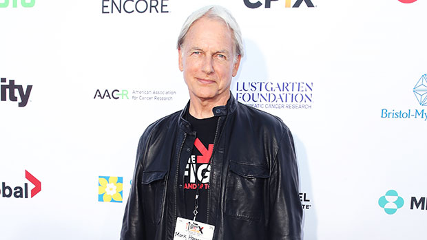 Mark Harmon’s Sons Meet TheHandsome Kids Of The ‘NCIS’ Star