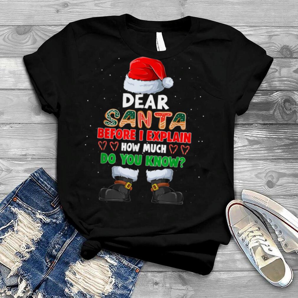 2021 Funny Christmas Quotes Apparel Santa I Can Explain T Shirt