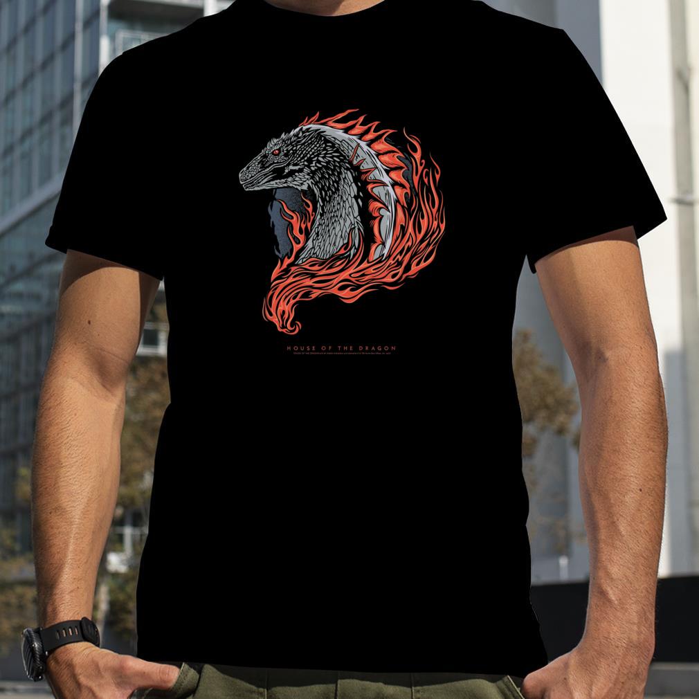 House of the Dragon Illustrated Dragon with Fire T Shirt